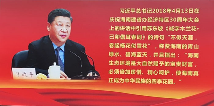 习近平总书记2018年4月13日在庆祝海南建省经济特区30周年上的讲话中引用苏东坡《减字木兰花，已卯儋耳春词》的诗句